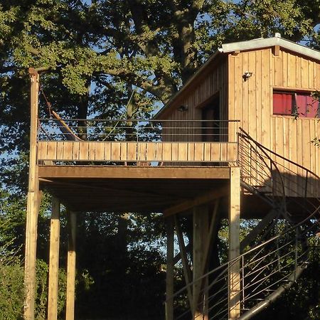 La Cabane Perchee Du Faucon Frechou-Frechet Exterior foto
