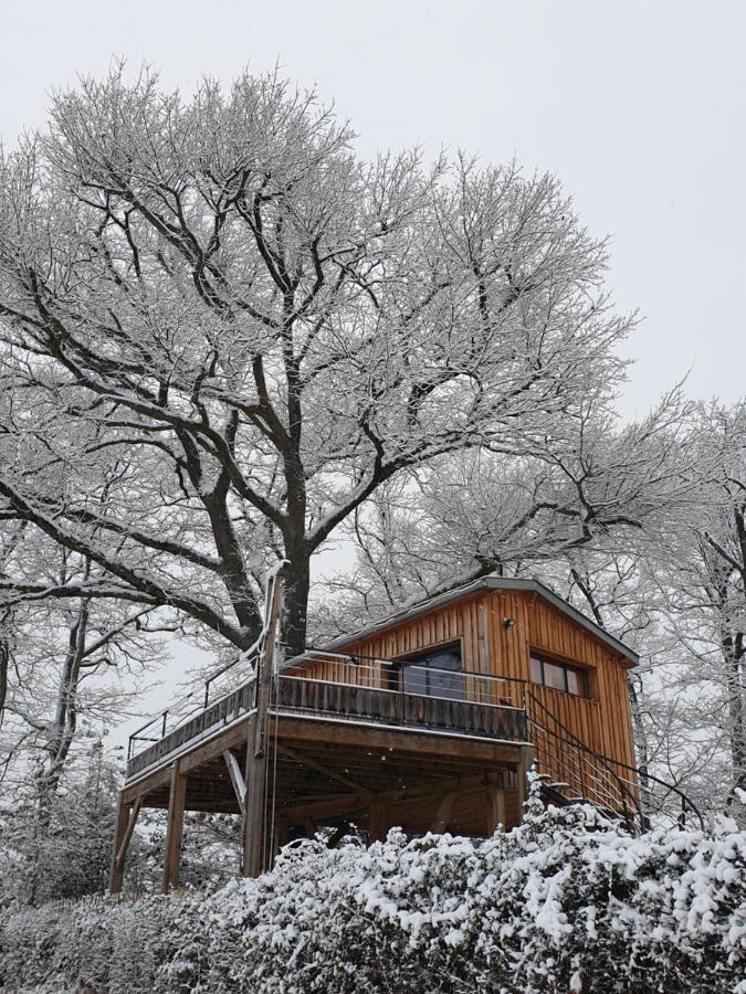 La Cabane Perchee Du Faucon Frechou-Frechet Exterior foto